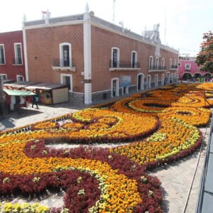 Flores y Volcanes: Experiencia en Atlixco y Cascadas de Atlimeyaya