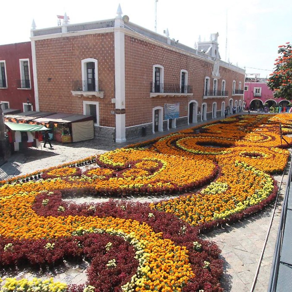 Flores y Volcanes: Experiencia en Atlixco y Cascadas de Atlimeyaya