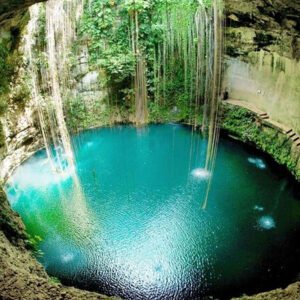 Xenotes: Tour 4 Cenotes