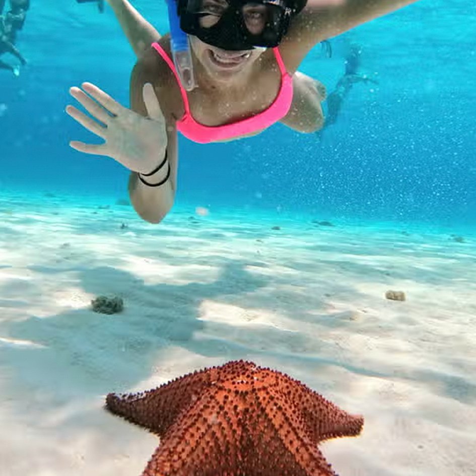Cozumel: Catamarán y Tortugas - Image 3