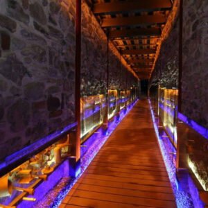 Puebla Histórica: Biblioteca Palafoxiana, Barroco y Secretos de Xanenetla