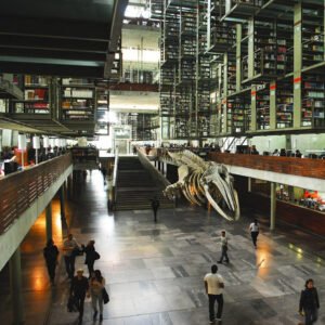 Arquitectura y Silencio: Experiencia en la Biblioteca Vasconcelos