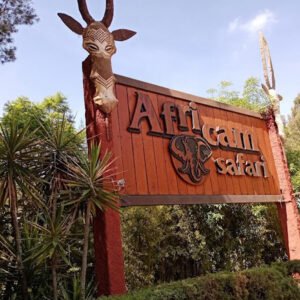 Aventura Salvaje: Experiencia Privada en Africam Safari